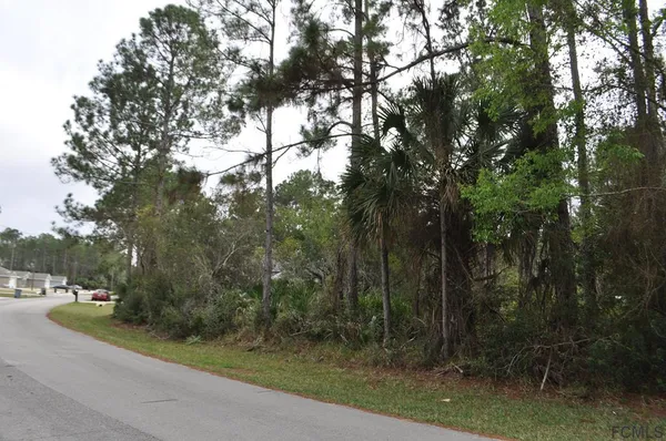 a view of a road with a trees