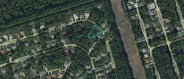 a close up of a plant in a garden