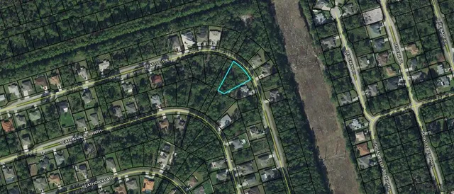 a close up of a plant in a garden