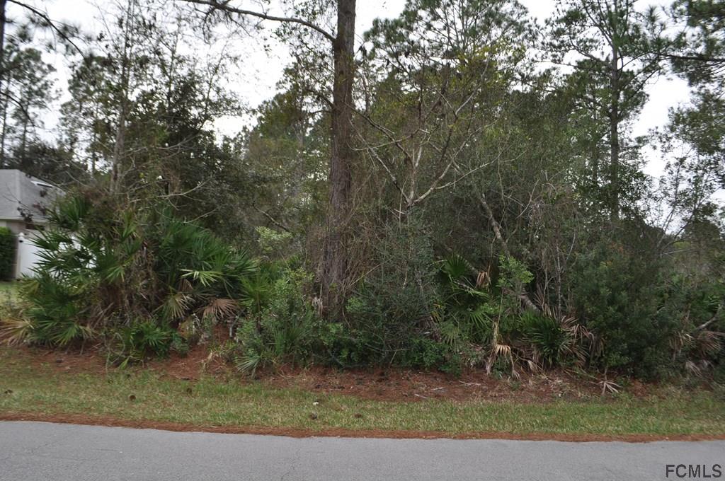 64 Seattle Trail Palm Coast, FL 32164 - Photo 6 of 6 a view of a yard with a tree