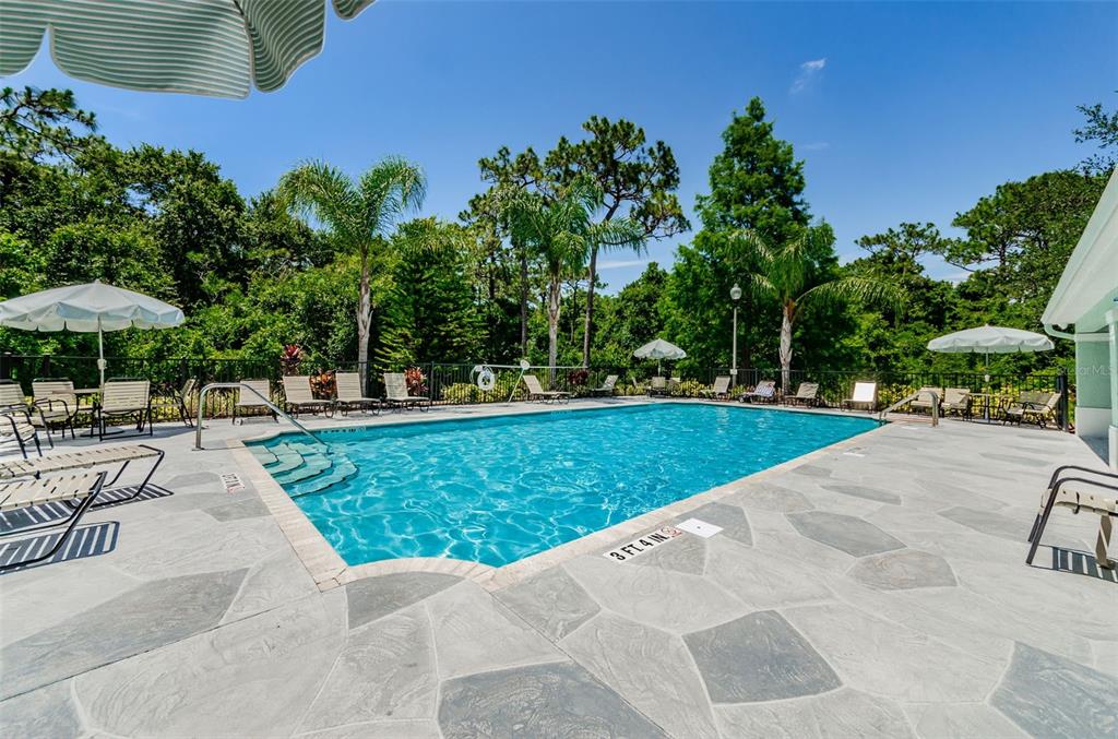 8525 Shallow Creek Court New Port Richey, FL 34653 - Photo 58 of 59