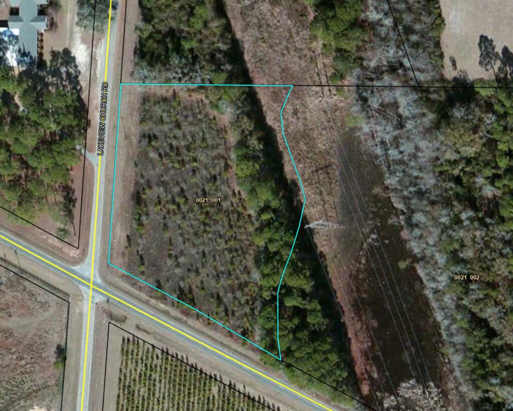 0 Lakeview Church Road Lenox, GA 31637 - Photo 1 of 6 Gallery Image 1