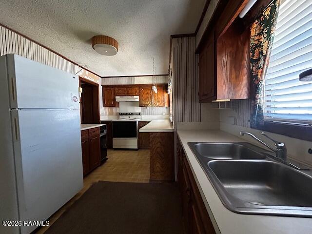 117 Max Gueydan, LA 70542 - Photo 6 of 13 IMG_9222