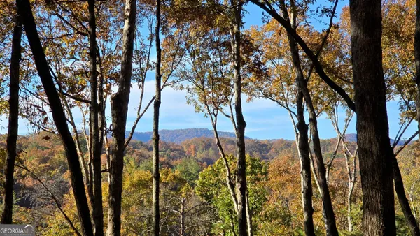$325,000 | Lot 5 Gold Ridge Trail, Cherry Log, GA 30522