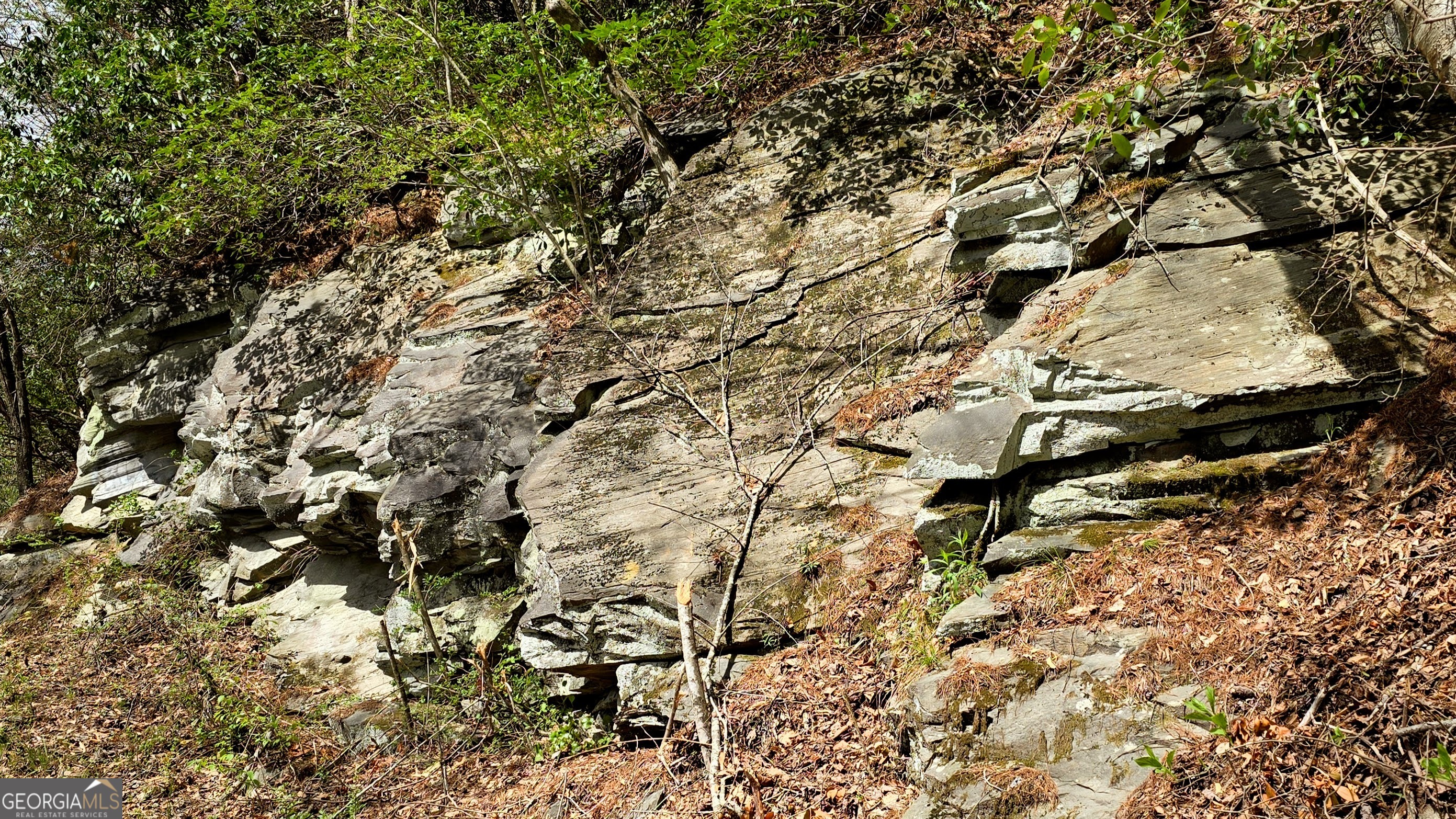 Lot 5 Gold Ridge Trail Cherry Log, GA 30522 - Photo 11 of 14