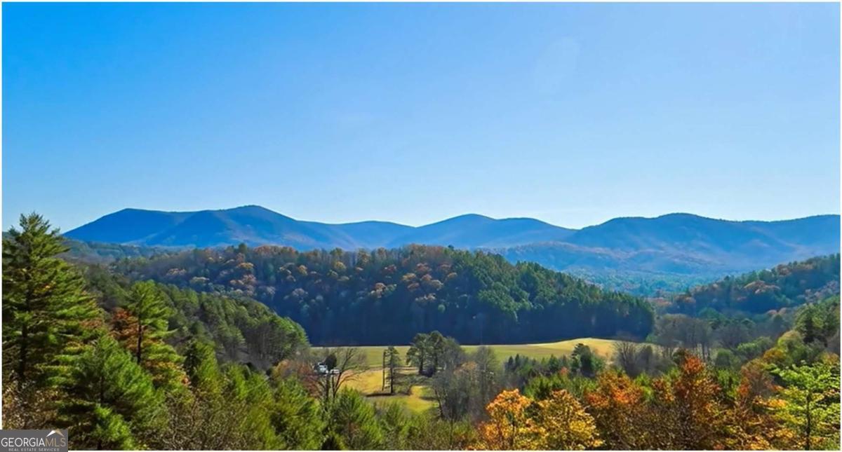 Lot 5 Gold Ridge Trail Cherry Log, GA 30522 - Photo 18 of 19