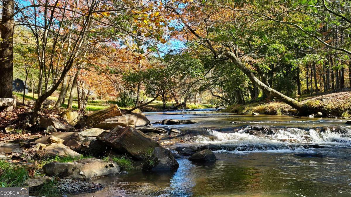 Lot 5 Gold Ridge Trail Cherry Log, GA 30522 - Photo 2 of 19