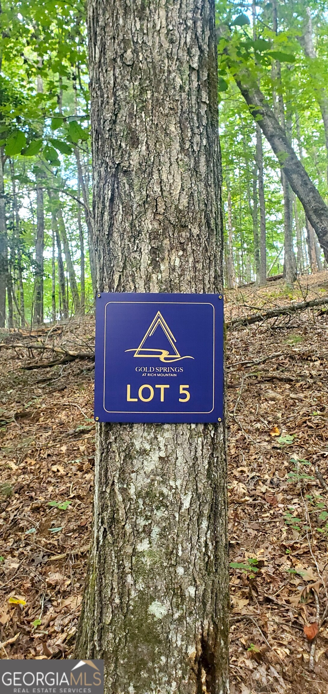 Lot 5 Gold Ridge Trail Cherry Log, GA 30522 - Photo 2 of 14