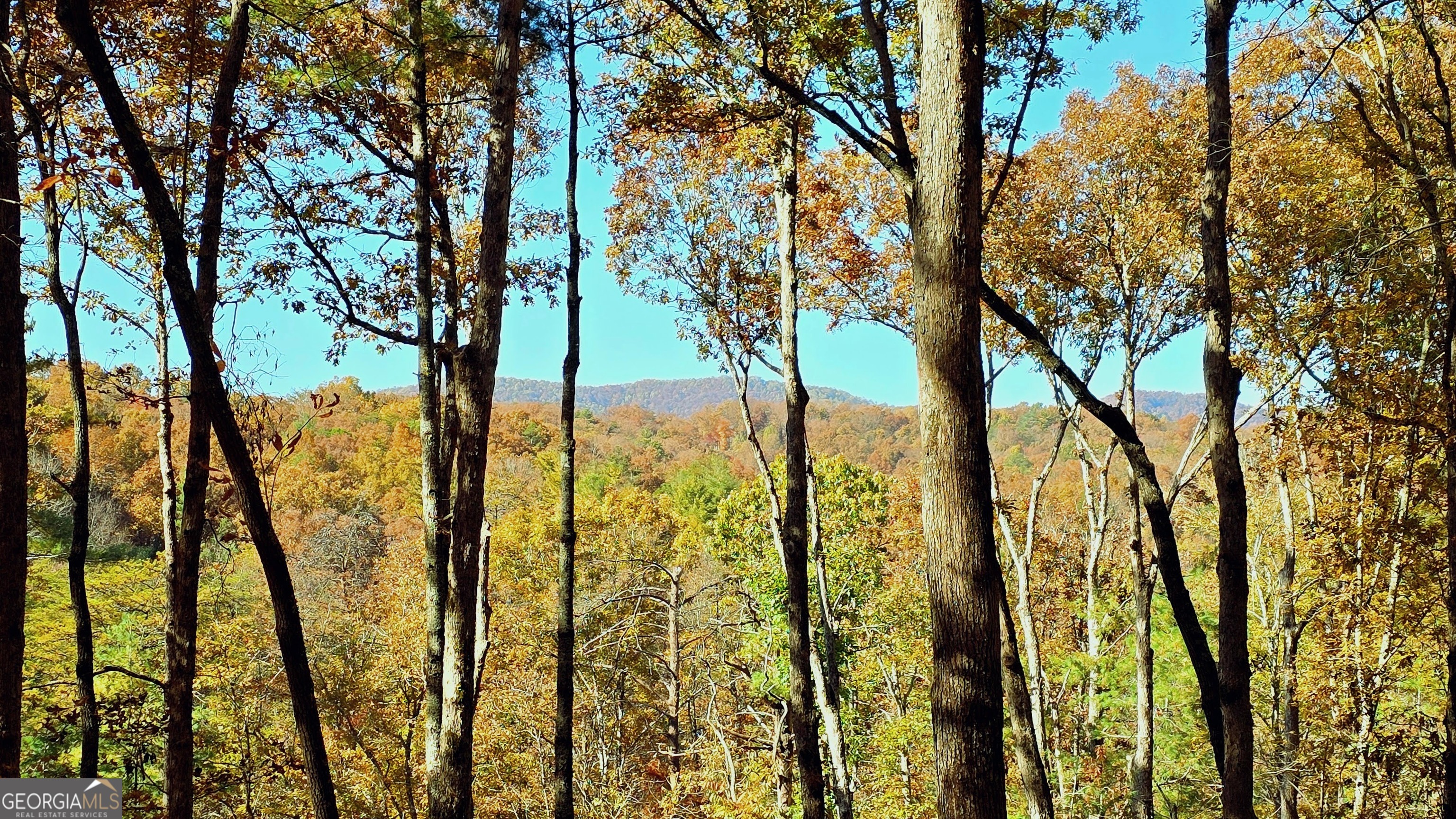 Lot 5 Gold Ridge Trail Cherry Log, GA 30522 - Photo 6 of 14