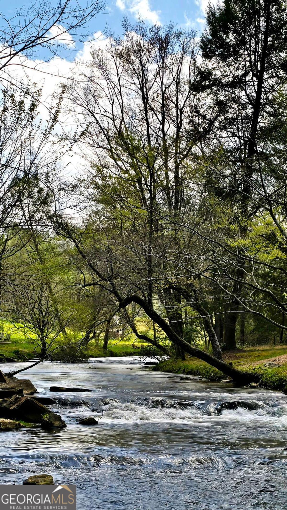 Lot 5 Gold Ridge Trail Cherry Log, GA 30522 - Photo 8 of 19