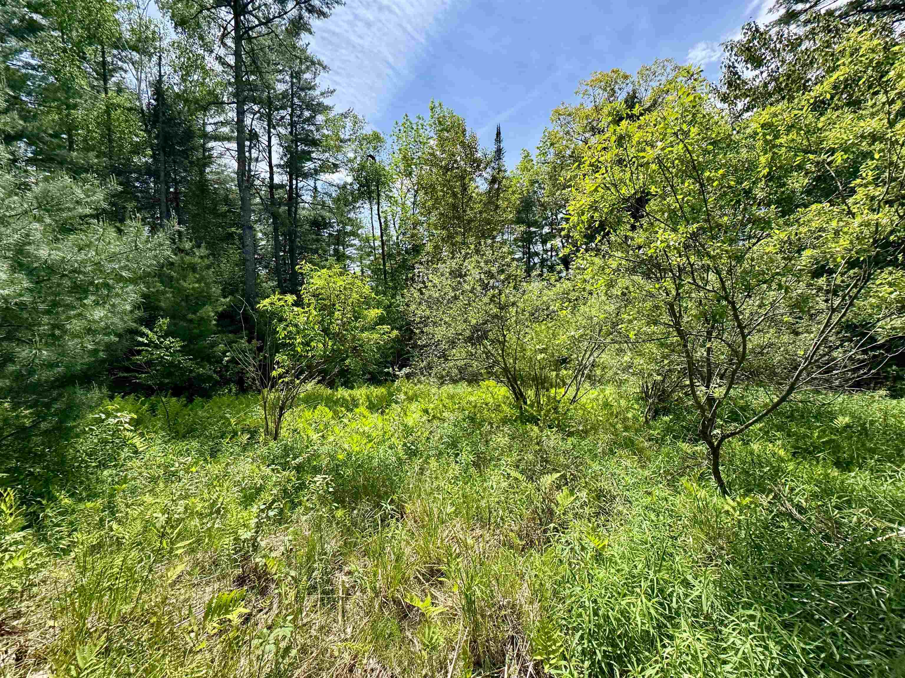 0 Mink Hill Road Bradford, VT 05033 - Photo 5 of 10