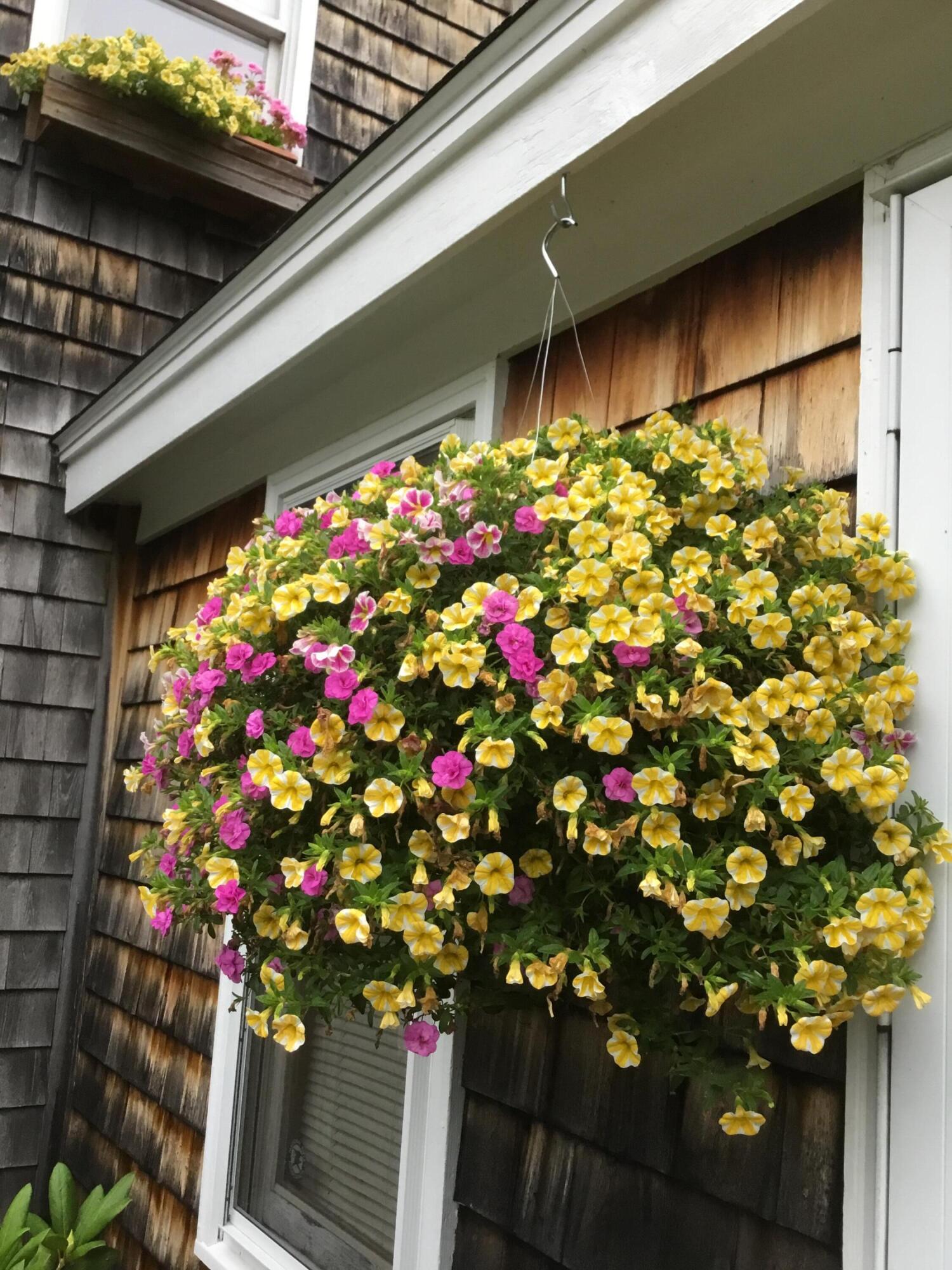 879 County Road Lubec, ME 04652 - Photo 11 of 50 image3