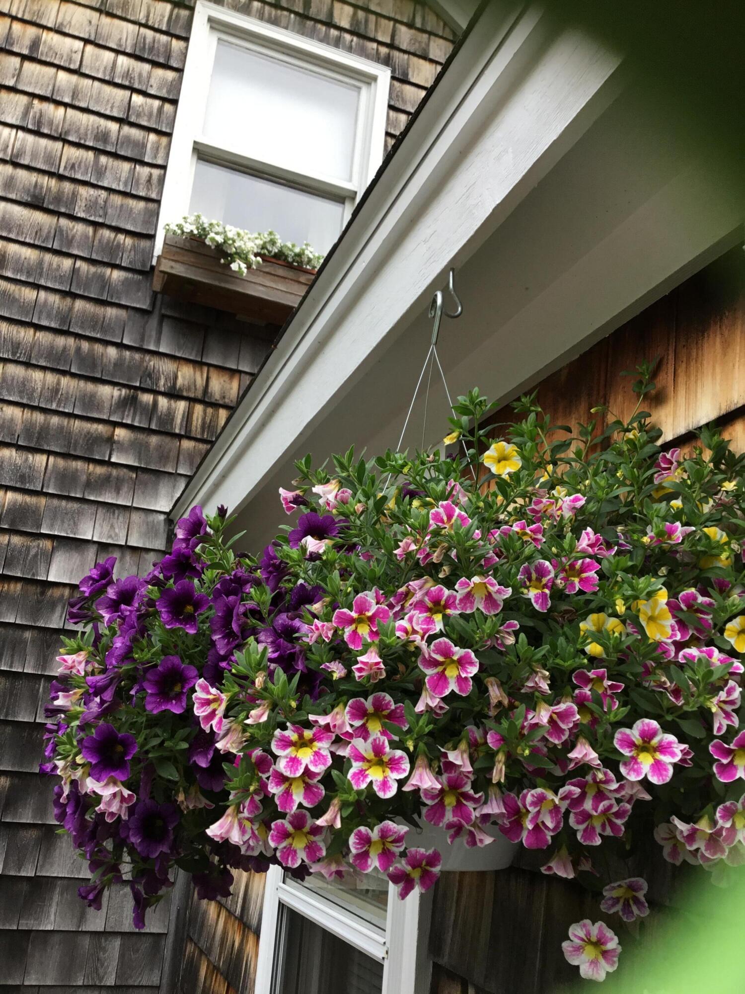 879 County Road Lubec, ME 04652 - Photo 12 of 50 image0