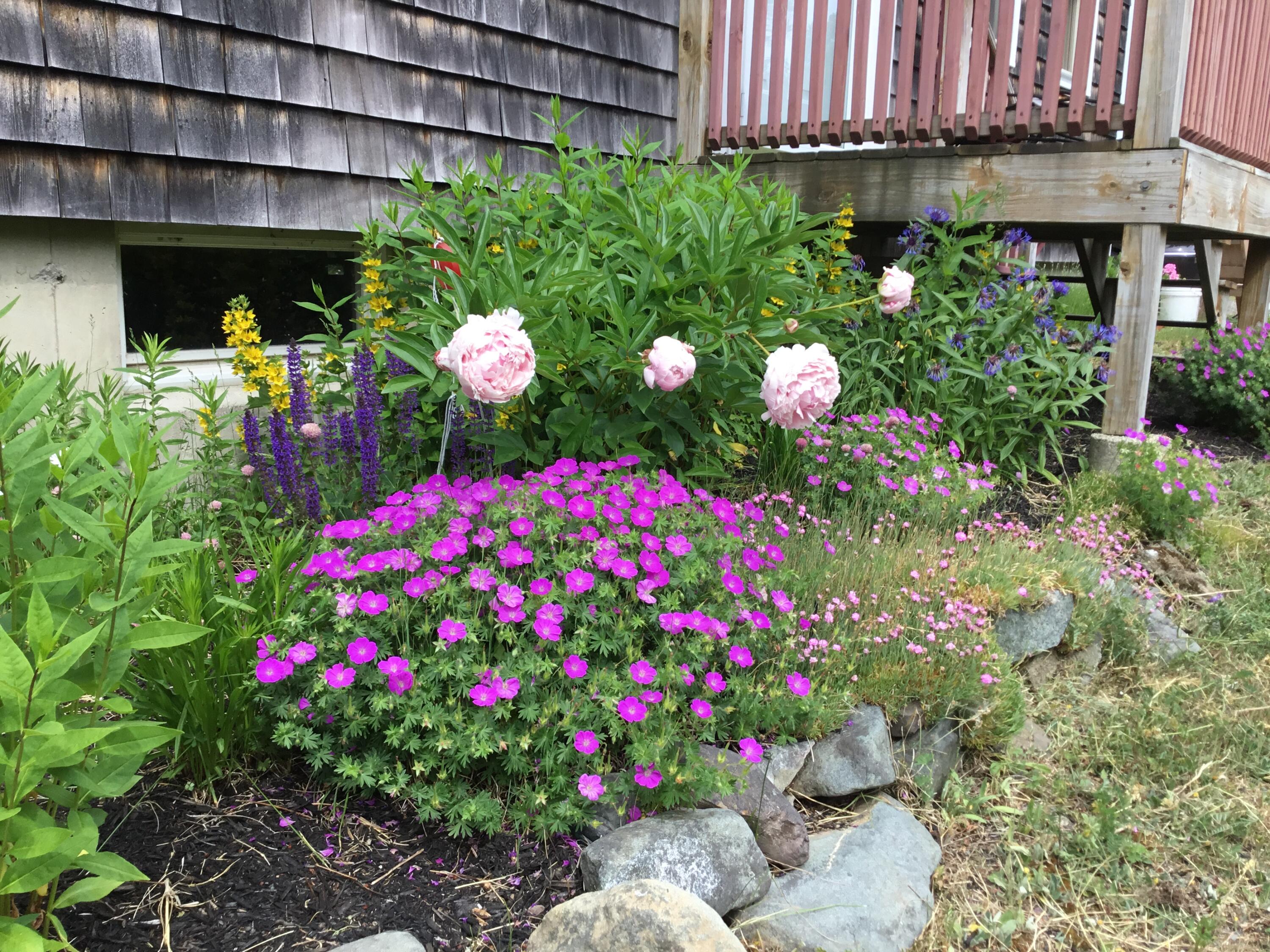 879 County Road Lubec, ME 04652 - Photo 13 of 50 image4