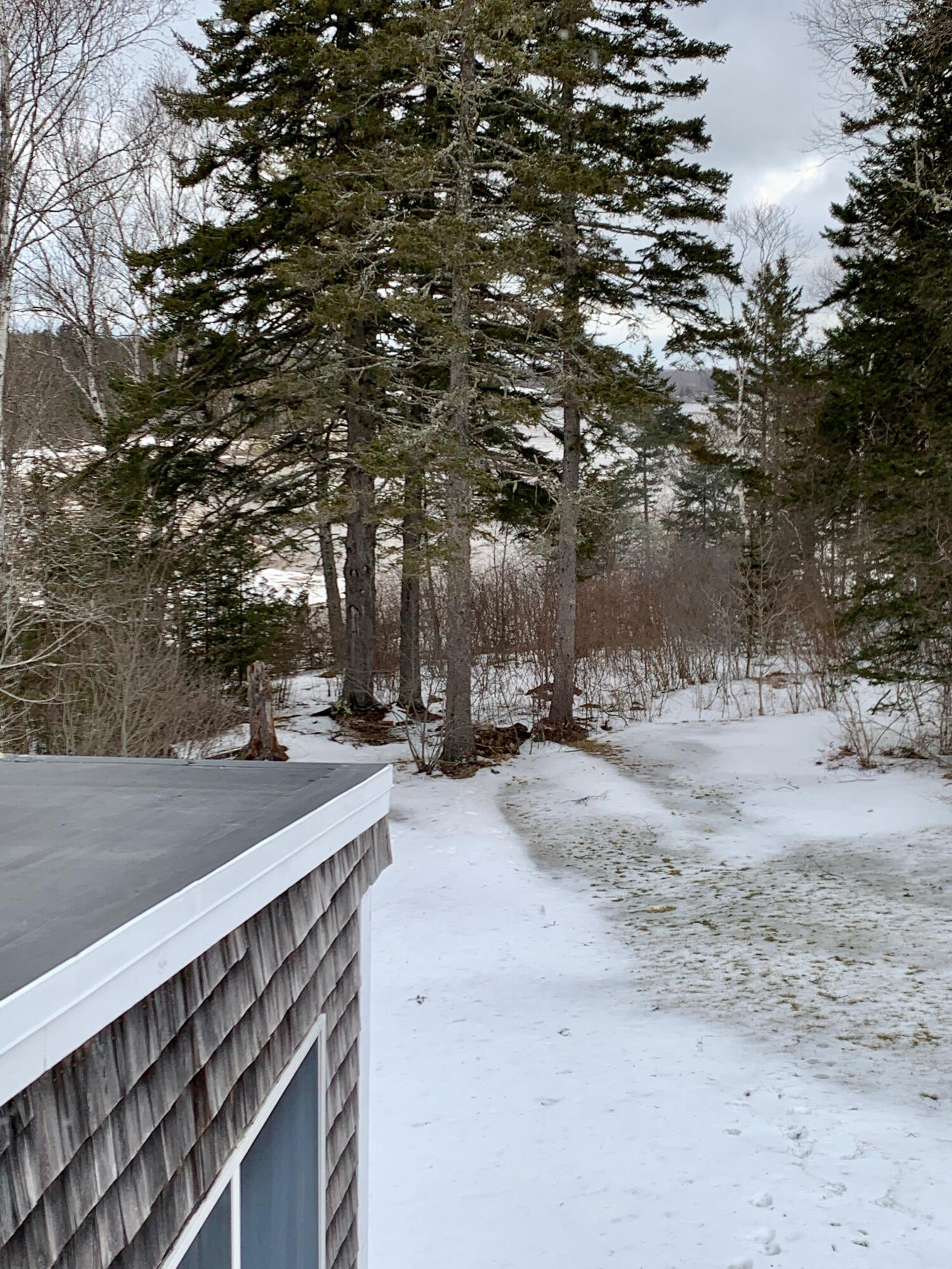 879 County Road Lubec, ME 04652 - Photo 39 of 50 IMG_4605