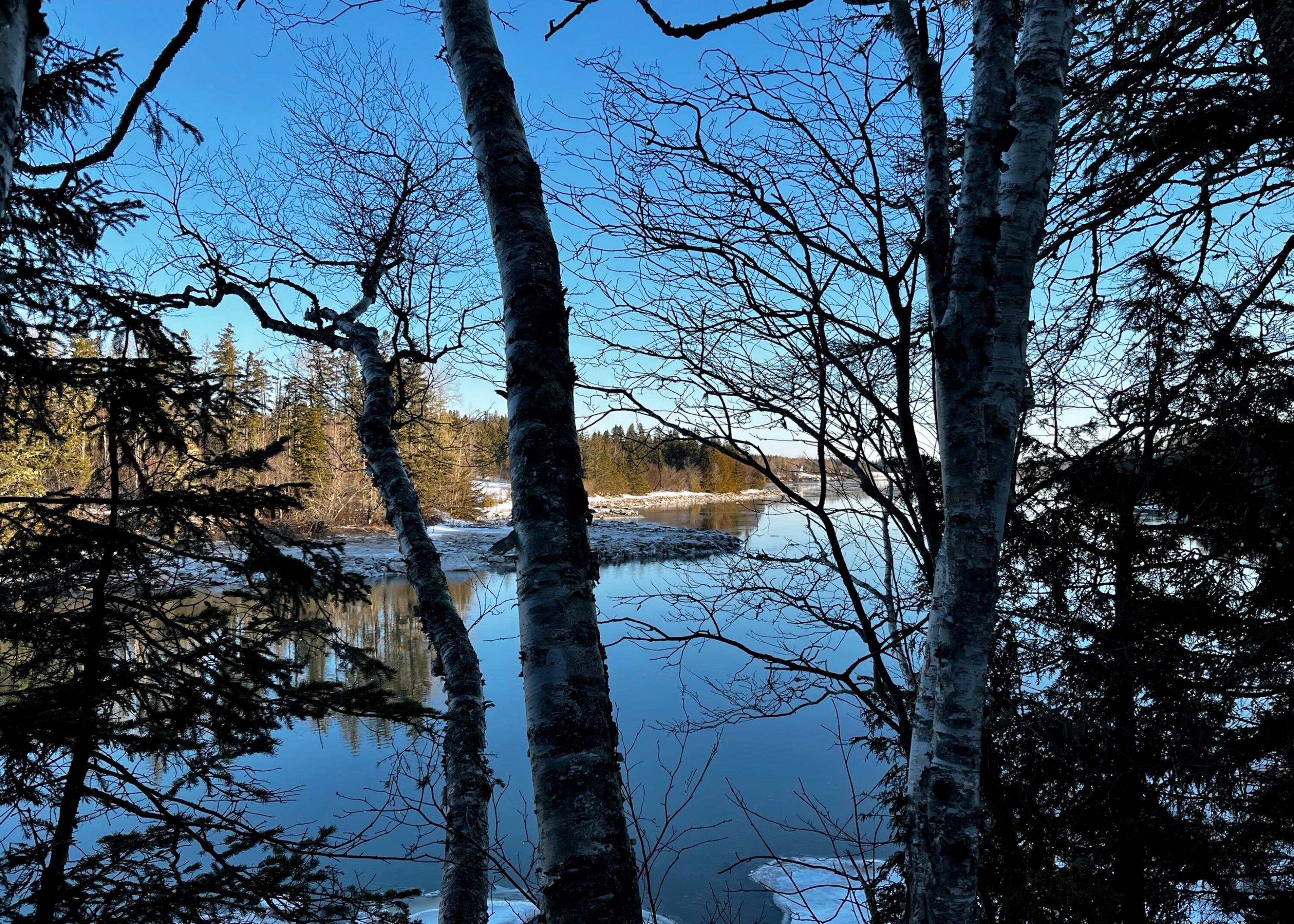 879 County Road Lubec, ME 04652 - Photo 4 of 50 IMG_0080