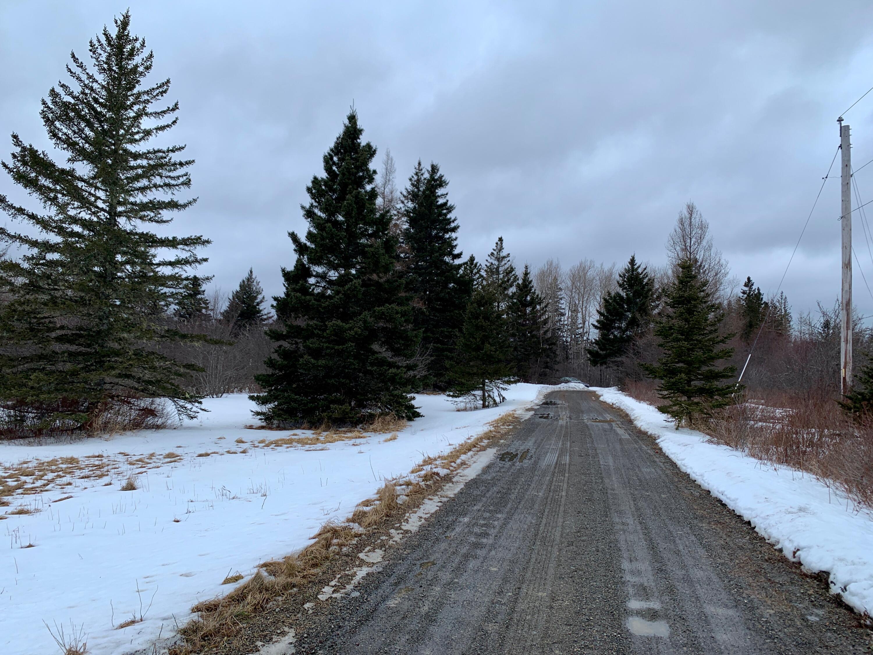 879 County Road Lubec, ME 04652 - Photo 43 of 50 IMG_4659