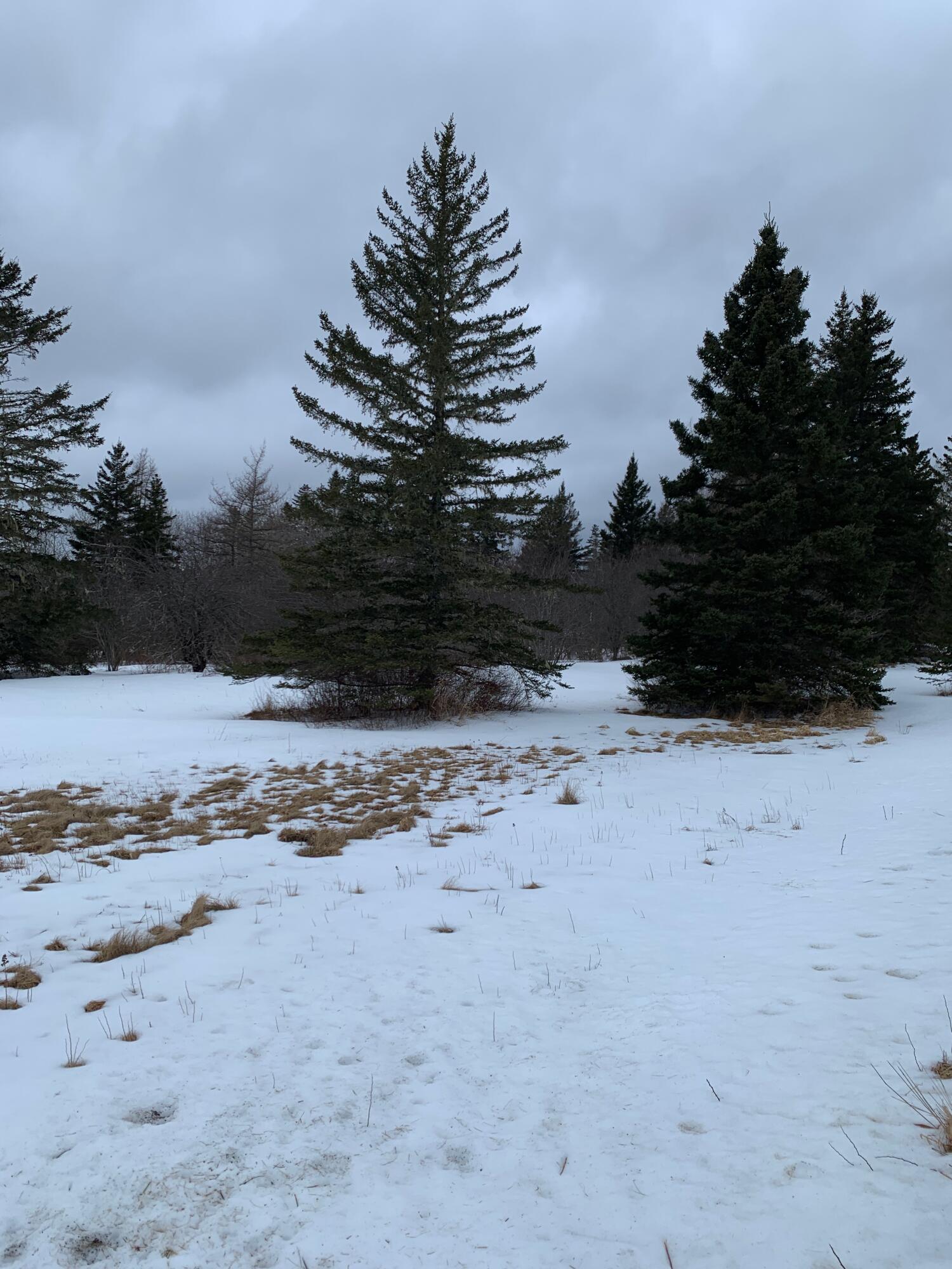 879 County Road Lubec, ME 04652 - Photo 44 of 50 IMG_4664