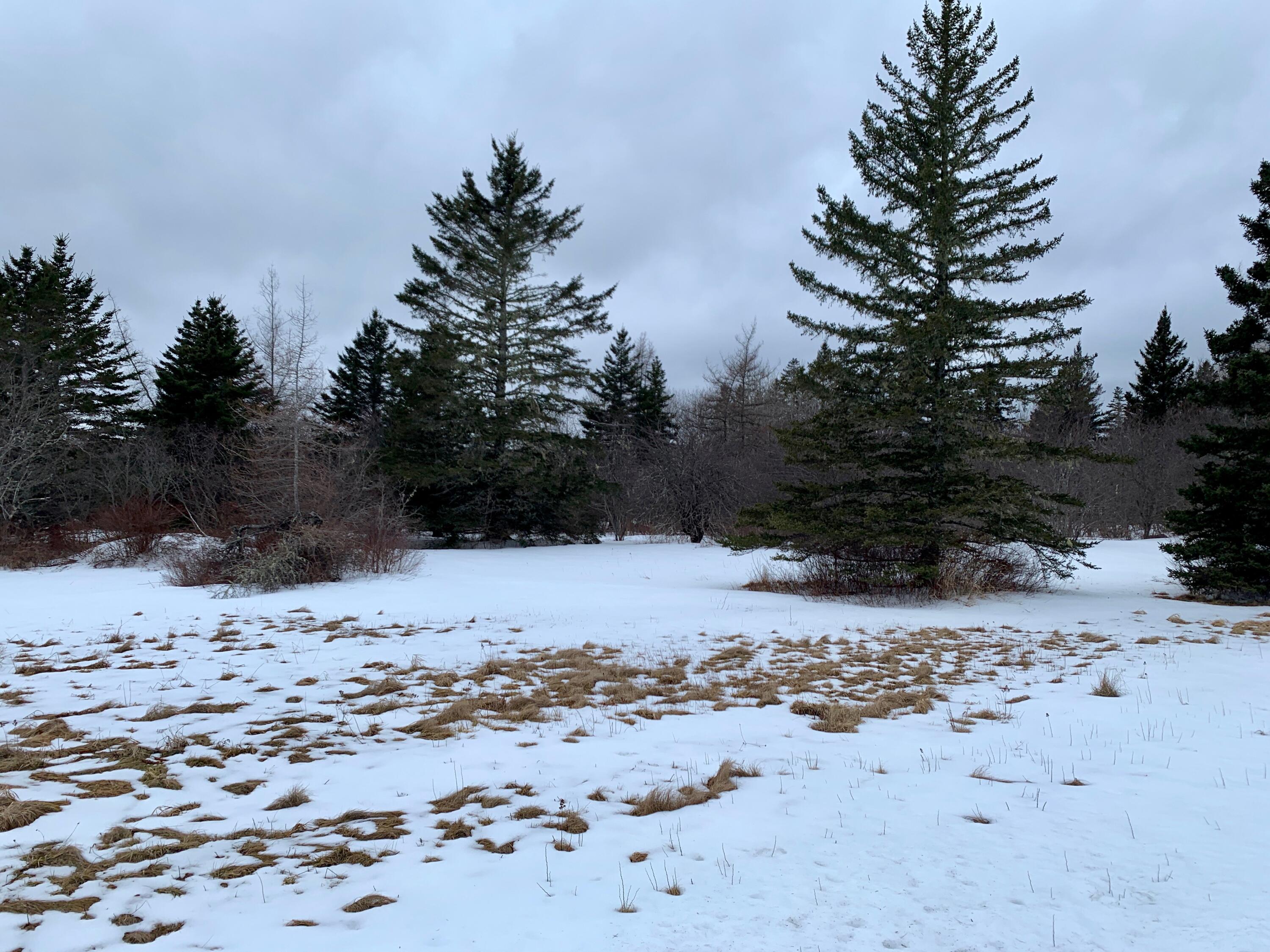 879 County Road Lubec, ME 04652 - Photo 45 of 50 IMG_4660