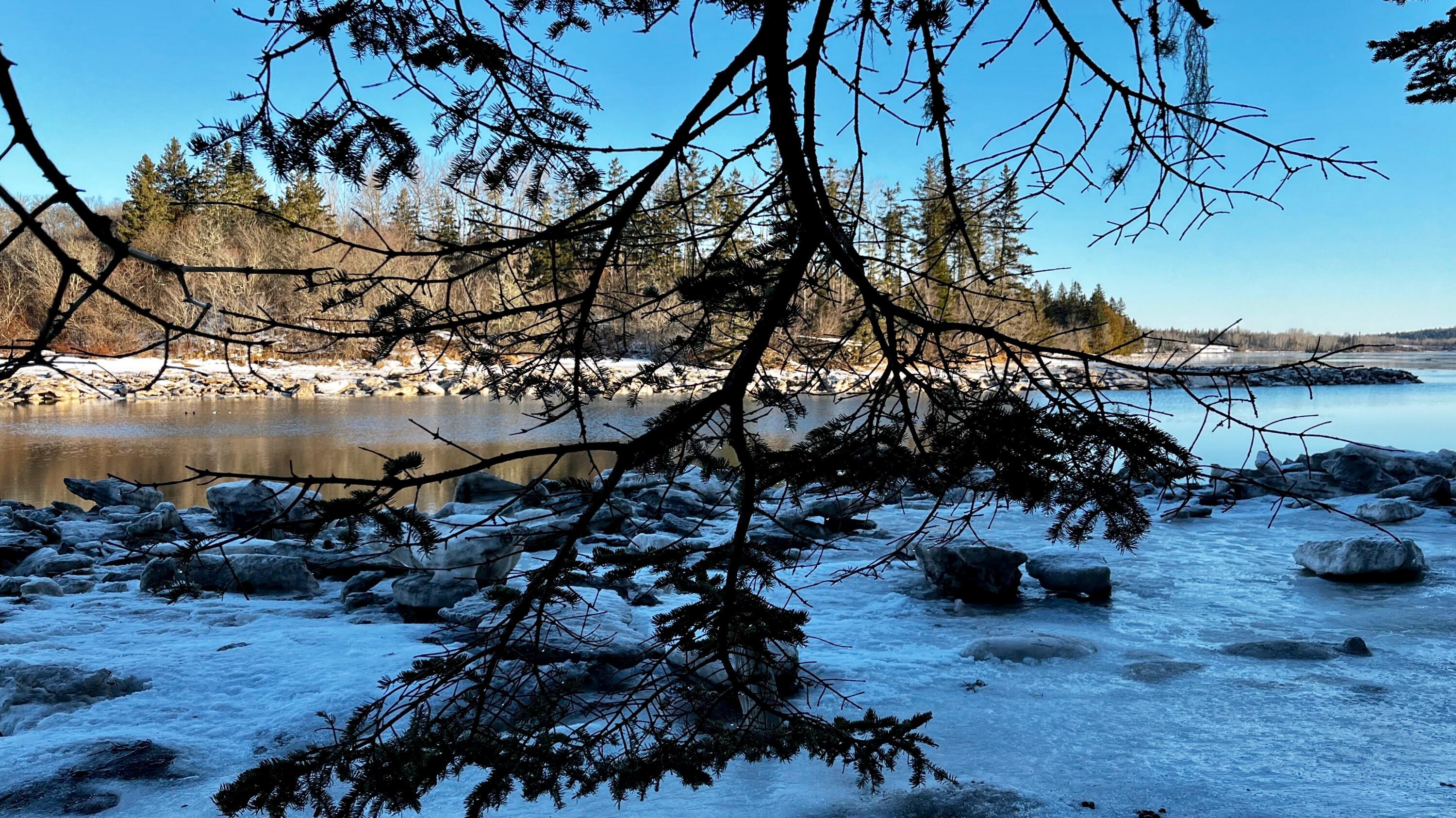 879 County Road Lubec, ME 04652 - Photo 47 of 50 66627665570__3398BA14-CAAF-4B7C-8840-5A4