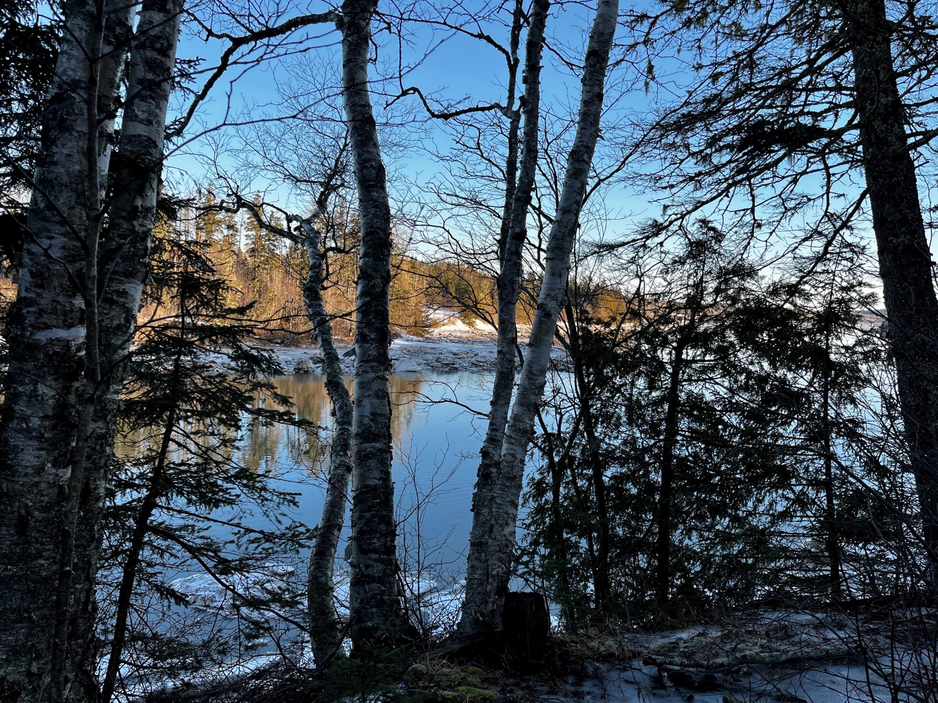 879 County Road Lubec, ME 04652 - Photo 48 of 50 IMG_0079