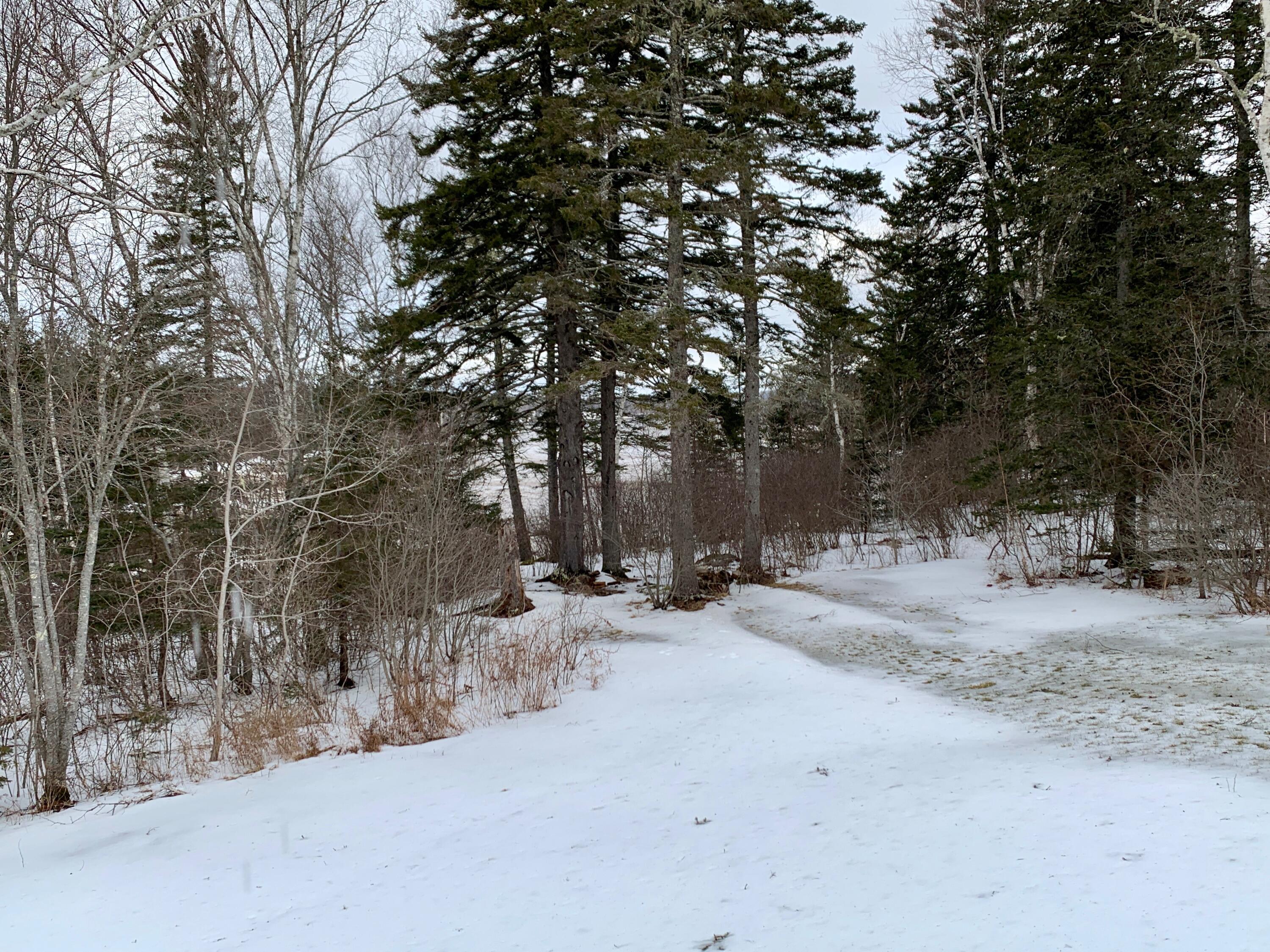 879 County Road Lubec, ME 04652 - Photo 8 of 50 IMG_4602