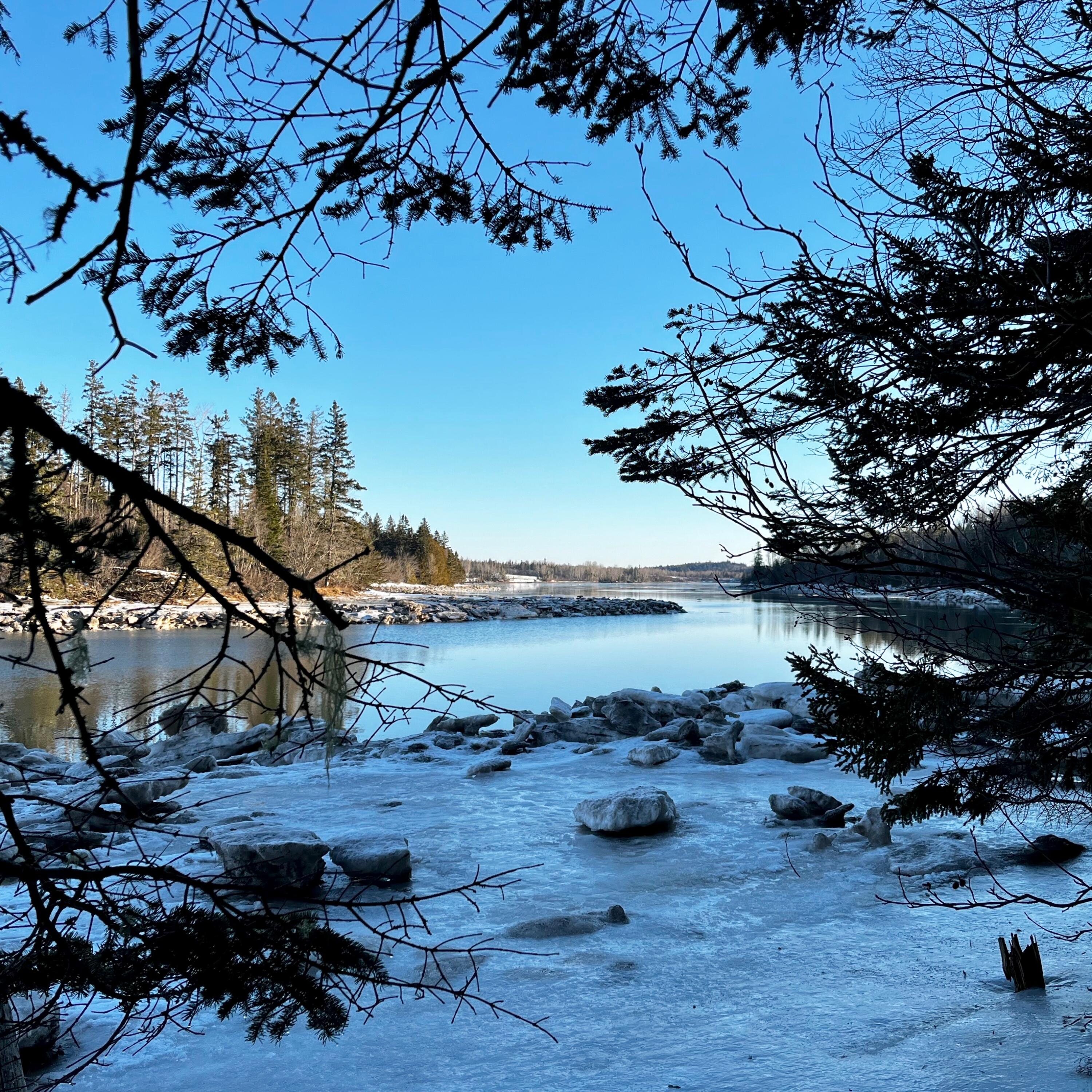 879 County Road Lubec, ME 04652 - Photo 9 of 50 66627662678__946B33C7-D139-489B-8701-031