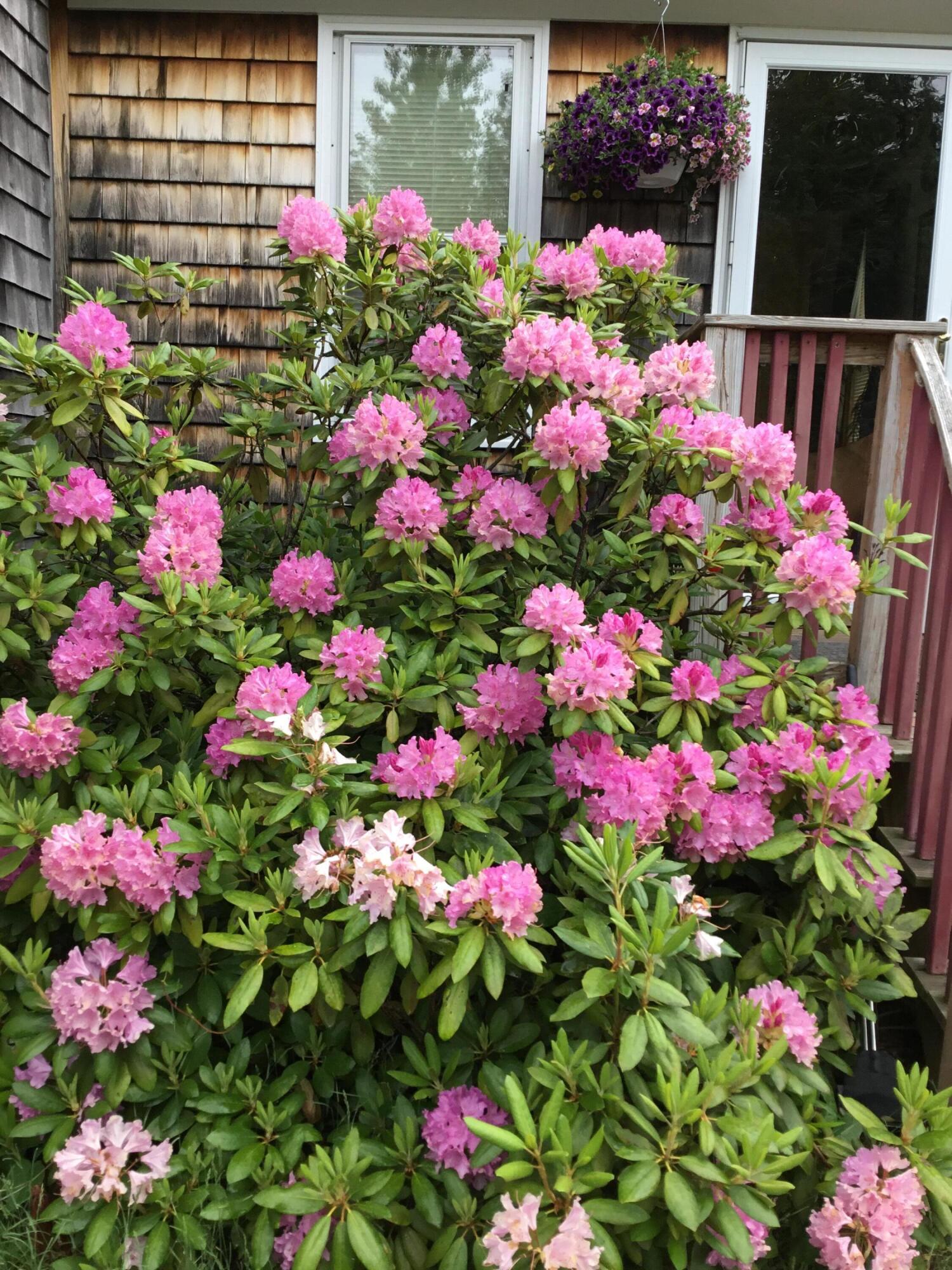 879 County Road Lubec, ME 04652 - Photo 10 of 50 image1