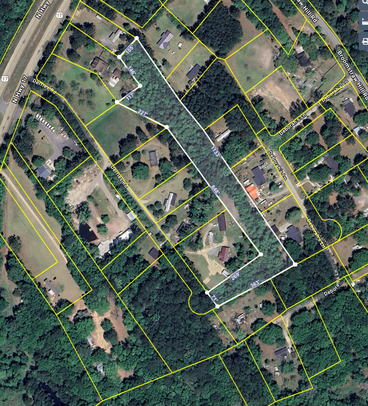 0 Derries Road Awendaw, SC 29429 - Photo 1 of 6 IMG_1072