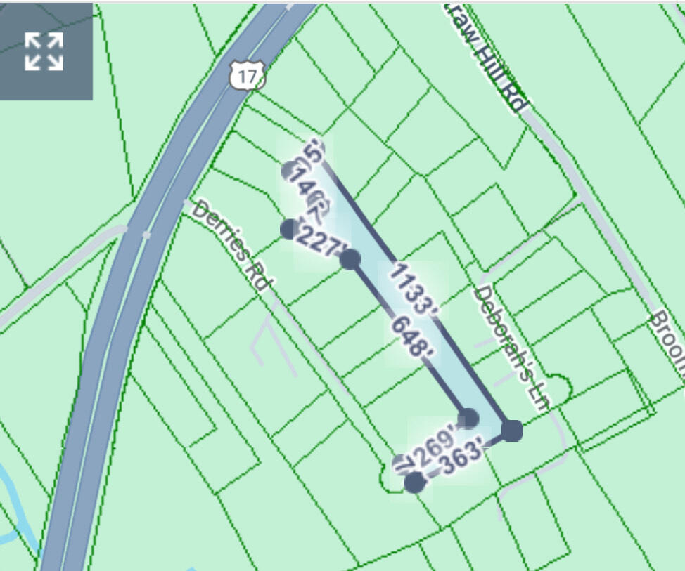 0 Derries Road Awendaw, SC 29429 - Photo 2 of 6 IMG_1069