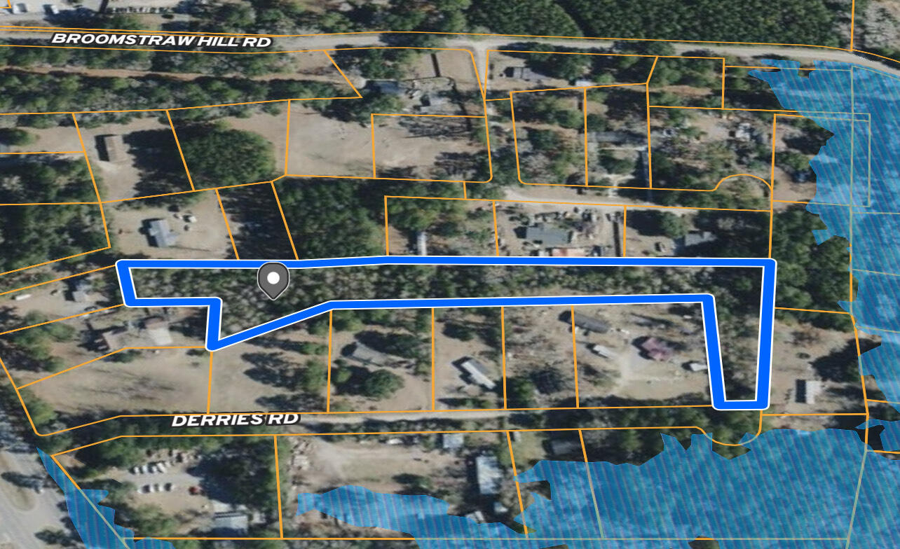 0 Derries Road Awendaw, SC 29429 - Photo 3 of 6 IMG_1074