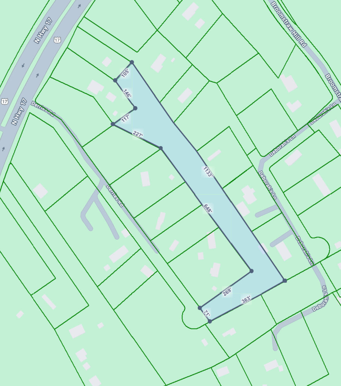 0 Derries Road Awendaw, SC 29429 - Photo 4 of 6 IMG_1071