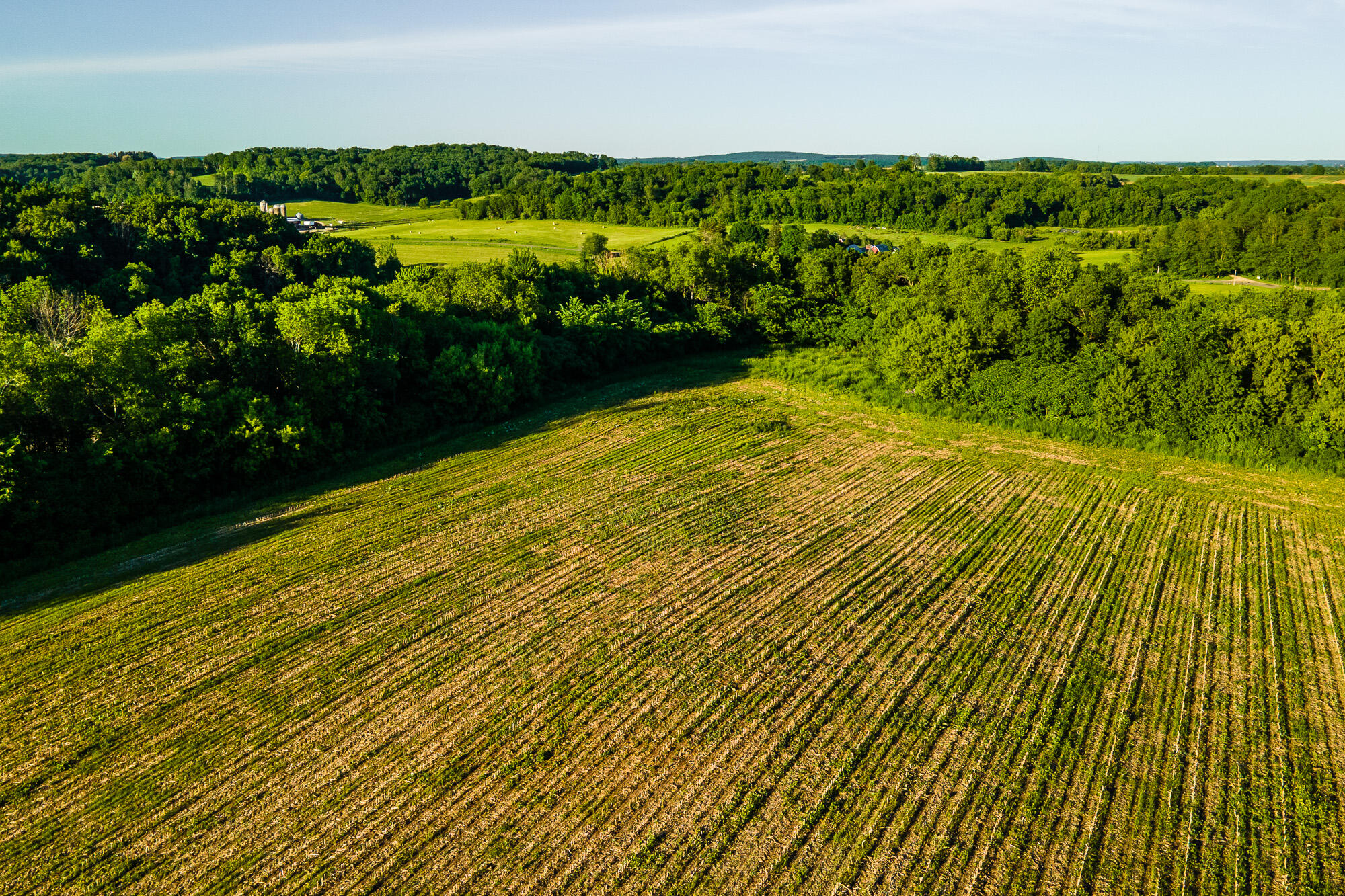 Lt0 Eli Valley Road Hillpoint, WI 53937 - Photo 3 of 29 Sauk-County-WI-17-Acres-Land-For-Sale-Su