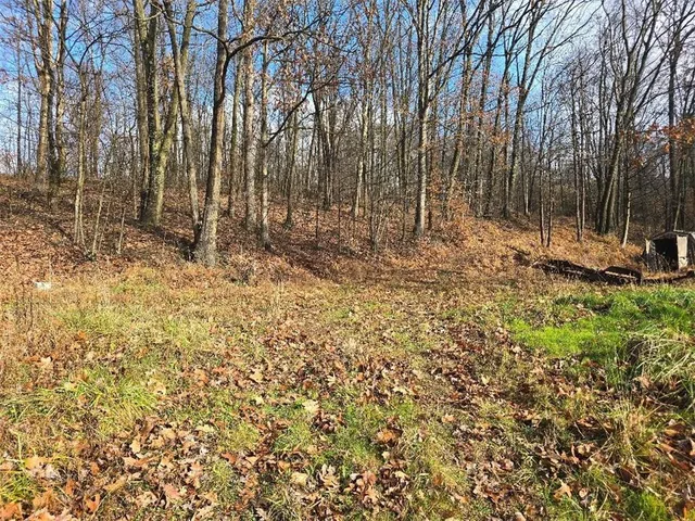 a view of backyard with green space