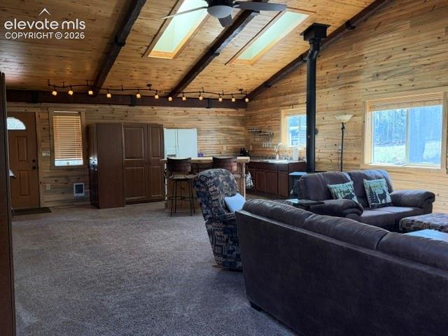 269 Southpark Road Florissant, CO 80816 - Photo 14 of 37