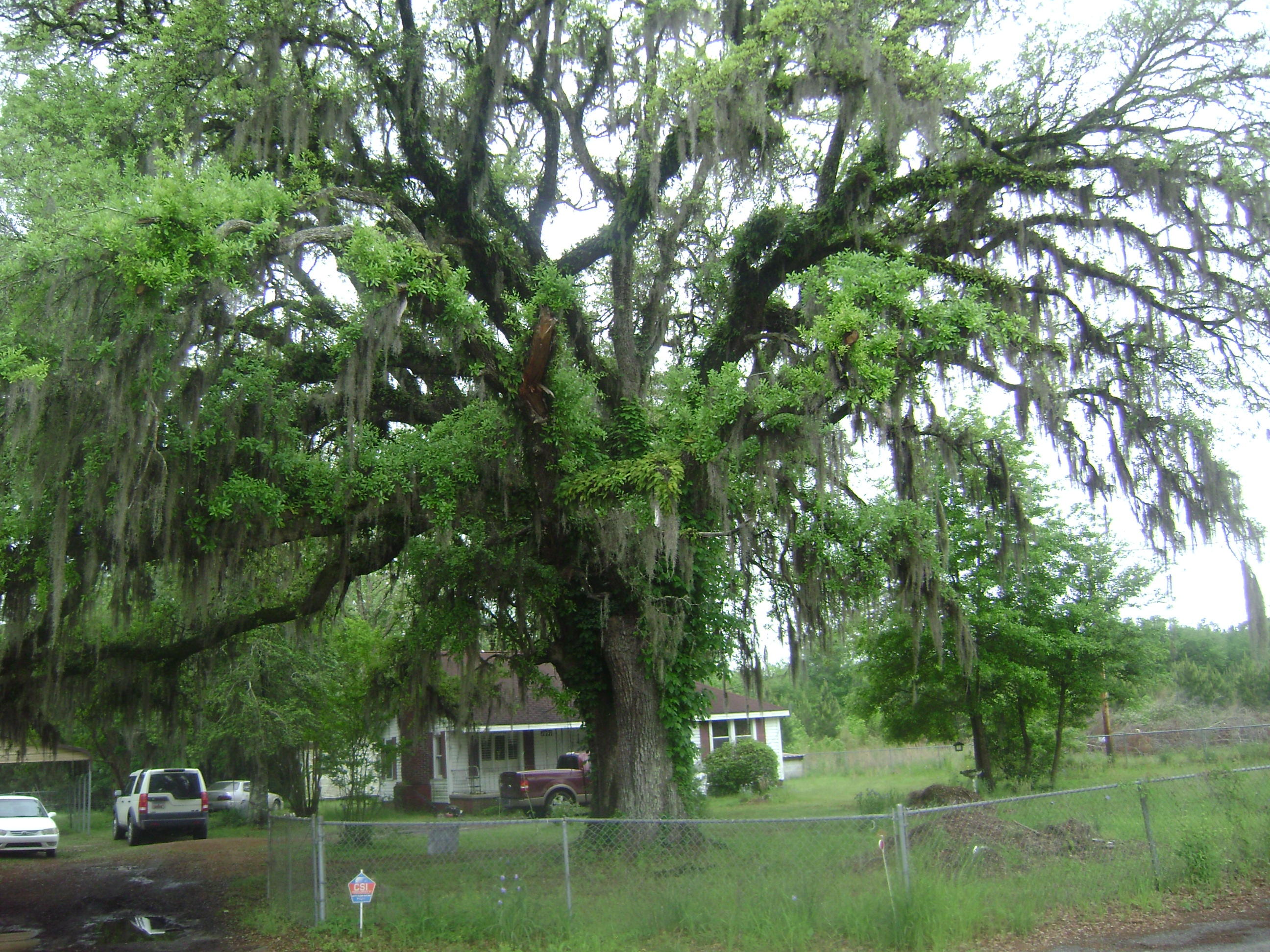 DSC03349