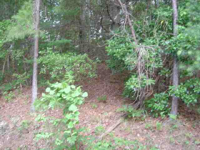 Lot 5 Sec 1 Turtlehead Salem, SC 29676 - Photo 5 of 8 Gallery Image 5