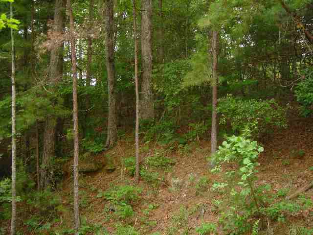 Lot 5 Sec 1 Turtlehead Salem, SC 29676 - Photo 6 of 8 Gallery Image 6