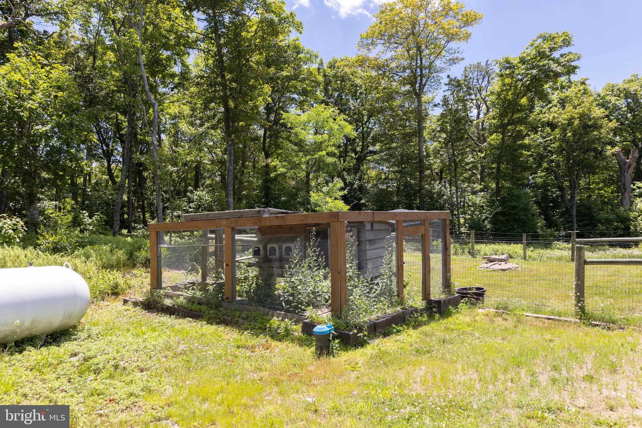 5982 South Branch Mountain Road Moorefield, WV 26836 - Photo 67 of 141