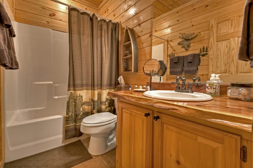 599 Choctaw Ridge Blue Ridge, GA 30513 - Photo 42 of 56 Gallery Image 42