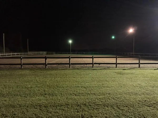 a view of outdoor space with garden