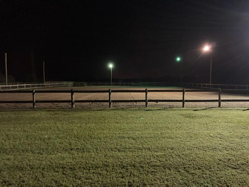 3125 Davis Road Mims, FL 32754 - Photo 43 of 46 a view of outdoor space with garden