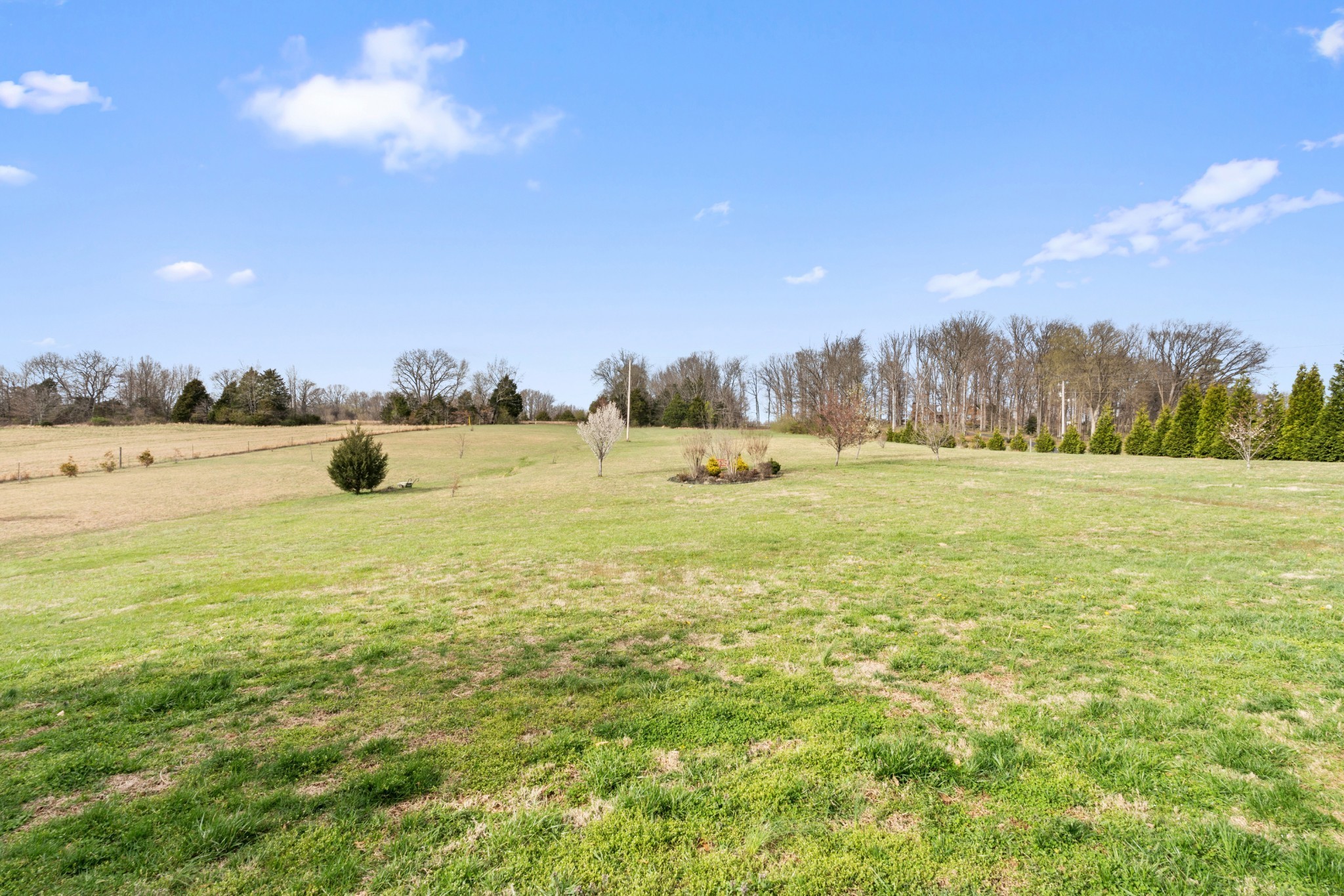 8288 Guthrie Road Cross Plains, TN 37049 - Photo 90 of 94