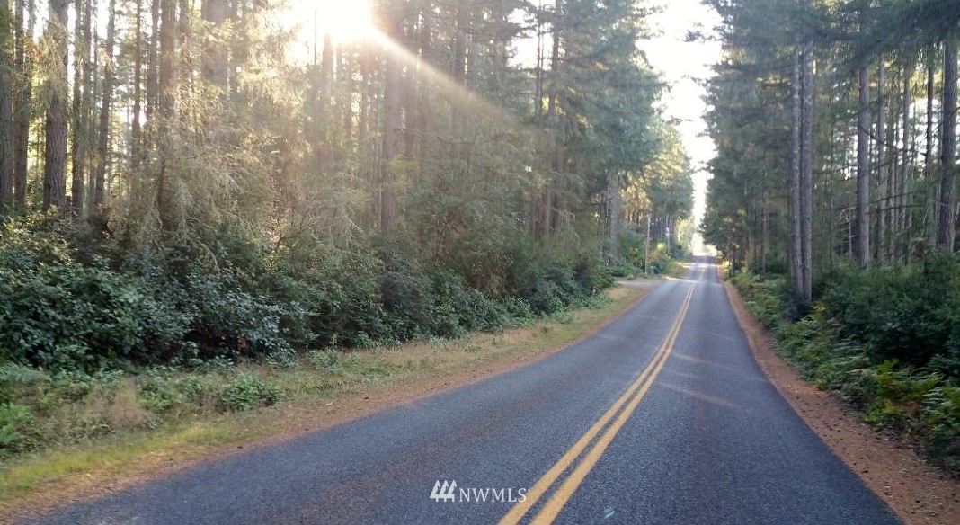 12102 Yoman Road Anderson Island, WA 98303 - Photo 1 of 5