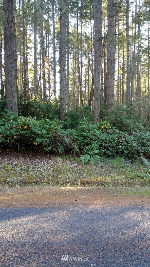 12102 Yoman Road Anderson Island, WA 98303 - Photo 3 of 5