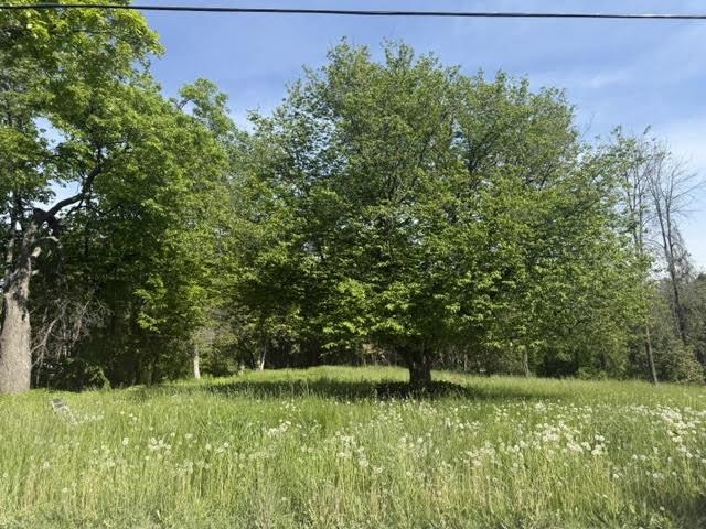 487 Country Club Road Highgate, VT 05488 - Photo 3 of 9