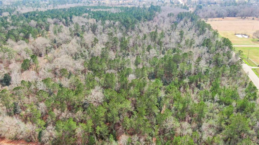 1082 Rd Bush La Bush, LA 70431 - Photo 5 of 8