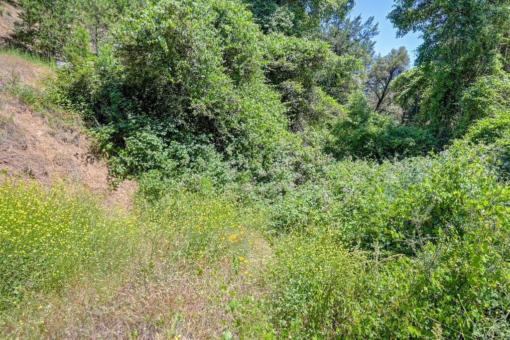 23505 Grand View Way Colfax, CA 95713 - Photo 11 of 32