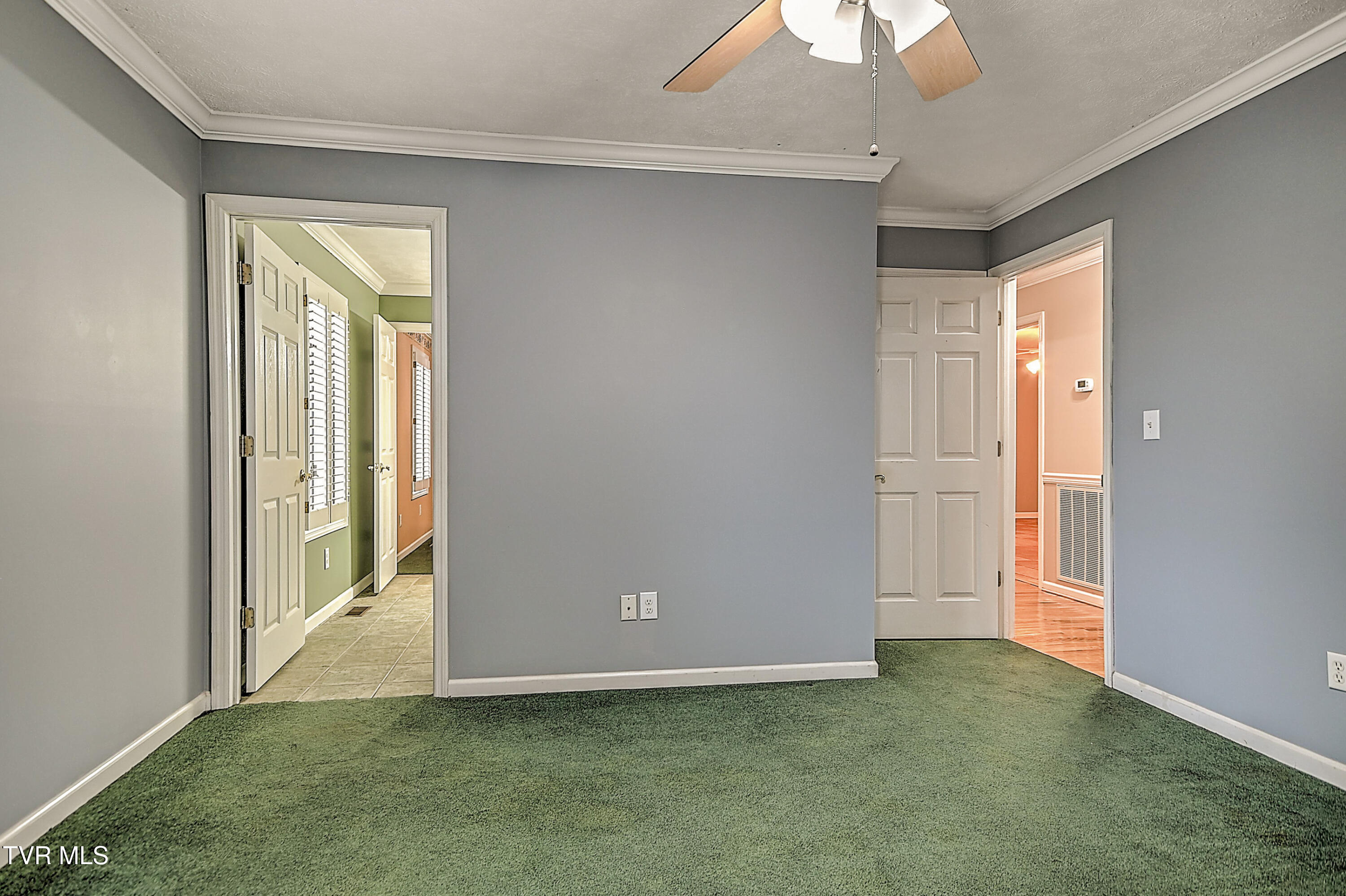 311 Big Springs Road Elizabethton, TN 37643 - Photo 53 of 92 311 Big Springs MP-31