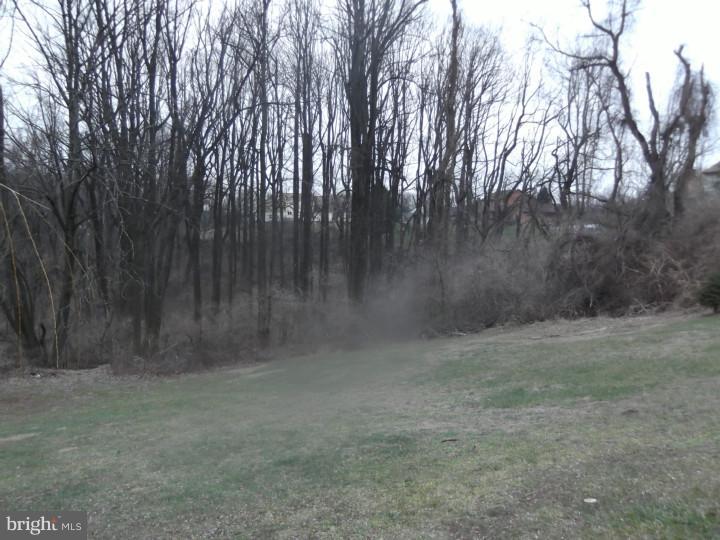 262 Blimline Road Mohnton, PA 19540 - Photo 2 of 23 Gallery Image 2
